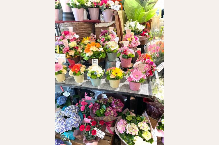 花の写真