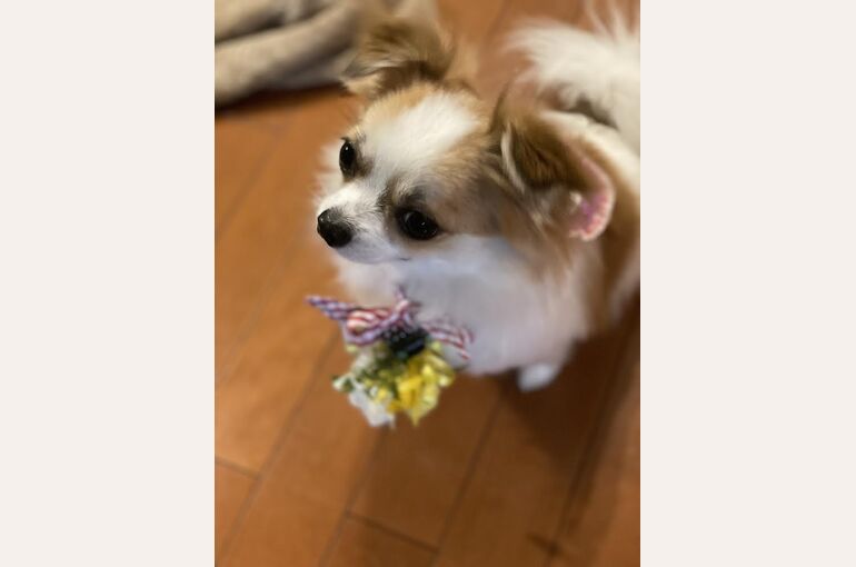 花飾り