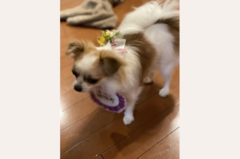花飾り