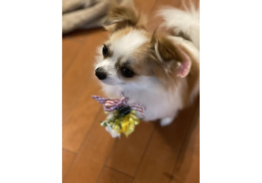 花飾り