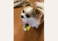 花飾り