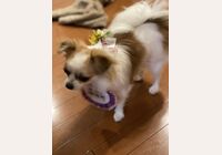 花飾り