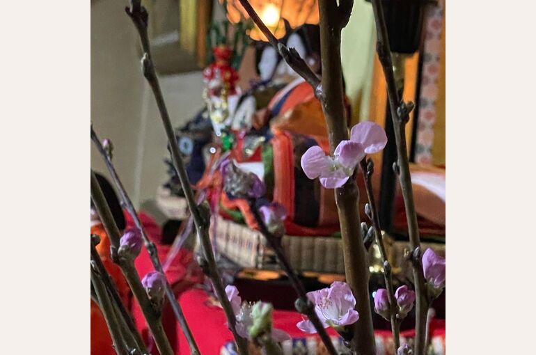 桃の花